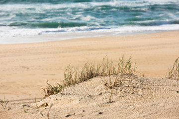 Sand beach, France