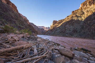 Colorado River, driftwood and rocks in Grand Canyon