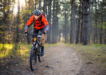 Fototapeta premium Cyclist Riding the Bike on the Trail in the Forest. Extreme Sport.