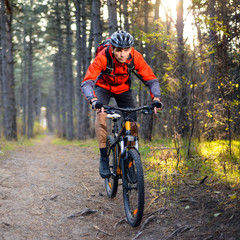 Cyclist Riding the Bike on the Trail in the Forest. Extreme Sport.