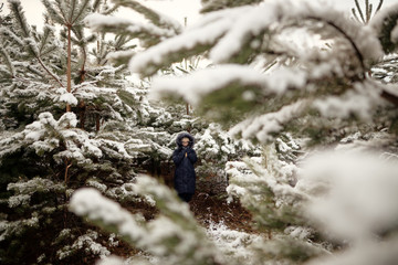 girl in a pine forest in the snow