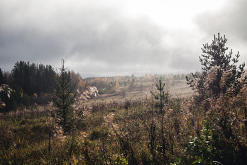 Beautiful autumn in a gray fog and sun.