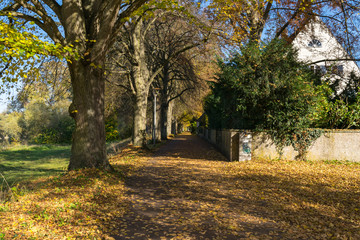 Wonderful autumn landscape by Danube River, Neues Schloss Castle, Ingolstadt, Germany, Bavaria, Europe