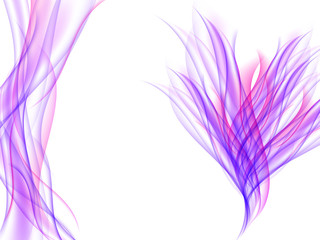 Abstract flower with purple and pink wavy lines on white. Abstract violet background. Bright illustration