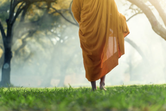 Asian monk walk under a tree,Asian monk meditating under a tree