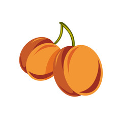 Vegetarian organic food simple illustration, two vector ripe swe