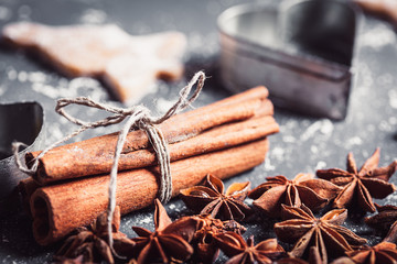 Closeup of anise star and cinnamon stick on dark background