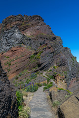 Obraz premium Hiking Pico do Arierio, Pico Ruivo, Madeira, Portugal