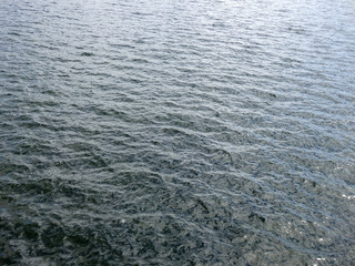 Shades of Green Blue Ocean Water ripples off the Union Lake