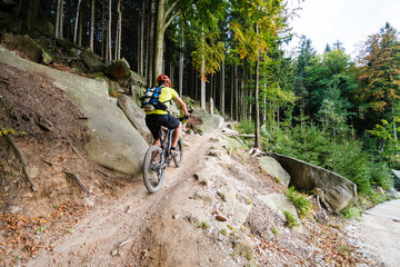 Mountain biker riding cycling in autumn forest