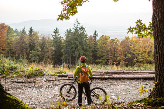 Mountain biker looking at inspiring forest landscape