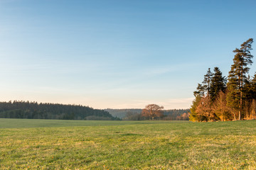 Obraz premium Sonnenuntergang im Schwarzwald