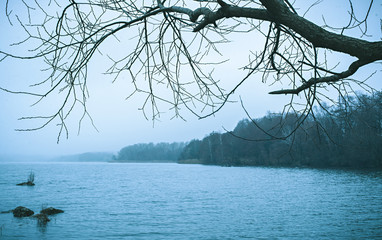 Bleak cold winter lake landscape