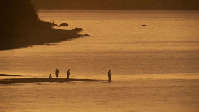 Sunset Beach Combers