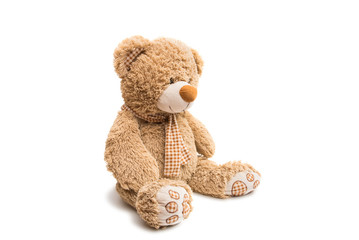 Big Bear soft toy isolated