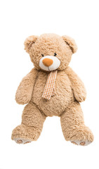 Big Bear soft toy isolated
