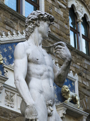 Close up of the statue of Michelangelo's David - 128791296