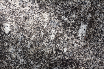 Stone texture, stone background for design with copy space for text or image. Stone motifs that occurs natural.