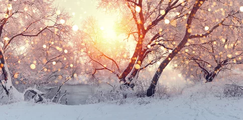 Foto op Plexiglas Winter Zonnige kerstochtend. Zon verlicht sneeuwvlokken.