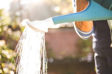 Midsection of gardener watering at garden