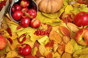 autumn background, fruits and vegetables on yellow fallen leaves, apples and pumpkin, decoration in country style