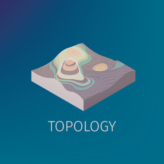 Vector topology isometric icon
