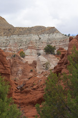 Desert Rock Formation