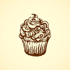 Cake. Vector drawing