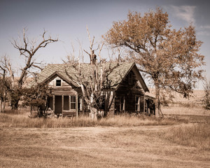 Fototapeta premium This Old House