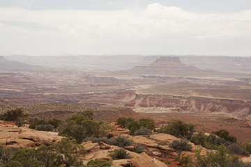 Desert Rock Formation