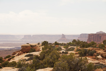 Desert Rock Formation