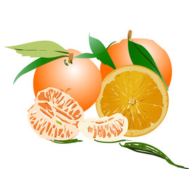 orange fruit cherry logo icon 
