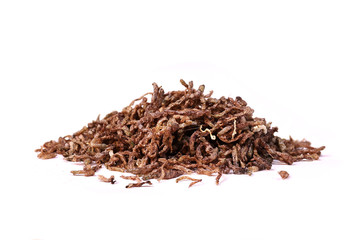 Freeze dried bloodworms fish food for aquarium 