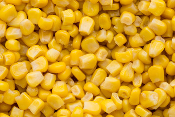 Bulk of yellow corn grains texture.