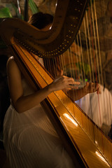 lady playing the harp