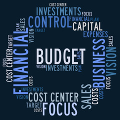 Budget word cloud