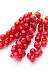 Red Currant close up isolated on white.