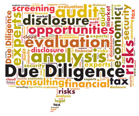 Due Diligence word cloud