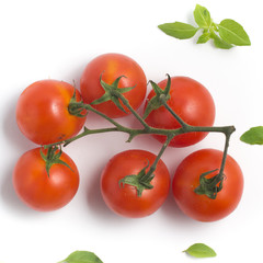 Branches of Cherry Tomatoes