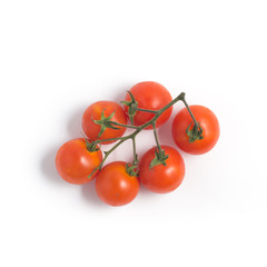 Branches of Cherry Tomatoes
