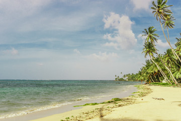 little corn island beach view, Nicaragua