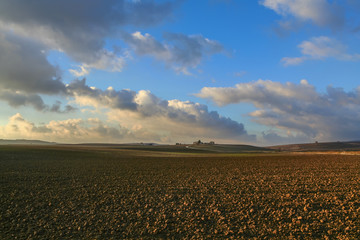 Between Apulia and Basilicata:hilly agricultural landscape before sunset.Farm on plowed land...