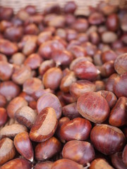 chestnuts