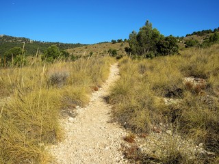 Mediterranean mountain path