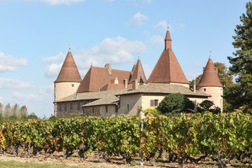 Castle of Corcelles with vineyards in Beaujolais, France