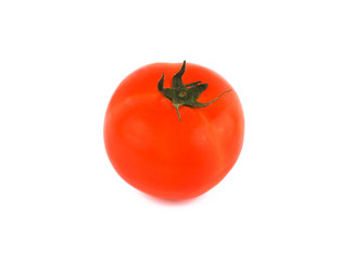 Tomatoes on white background