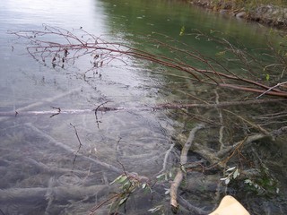 Beaver Dam