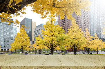 Picnic table in the park with yellow Ginko Leaves in autumn.