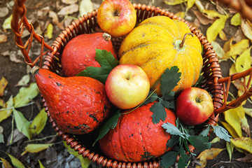 Naklejka na ściany i meble Fruit basket, autumn landscape