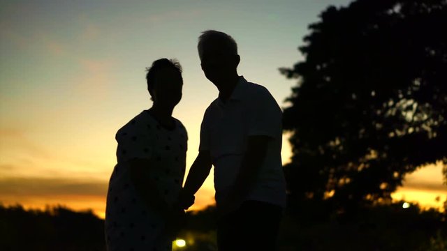 Mature Asian senior couple celebrating anniversary at lake side, morning moon and sunrise